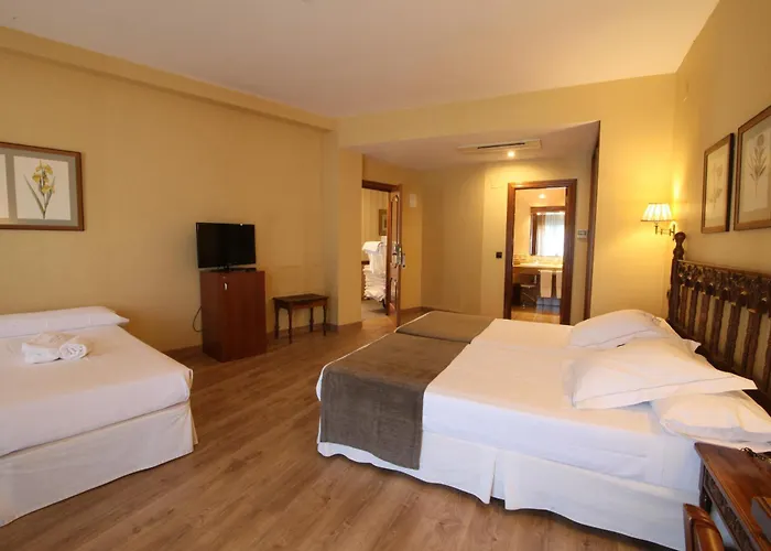 Hotel Ele Puente De 4*